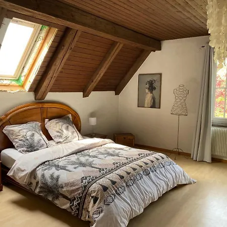 La Maison Du Petit Bonheur Bed & Breakfast Moutier