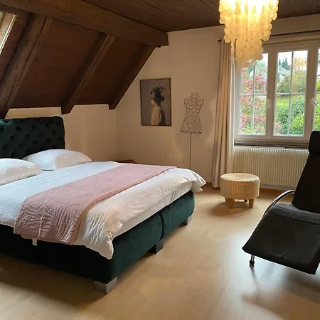 La Maison Du Petit Bonheur 3* Moutier