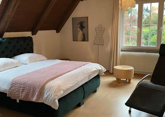 La Maison Du Petit Bonheur 3* Moutier
